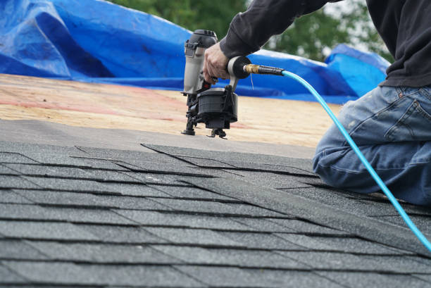 Best Asphalt Shingle Roofing  in Farm Loop, AK