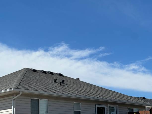 Best Roof Leak Repair  in Farm Loop, AK